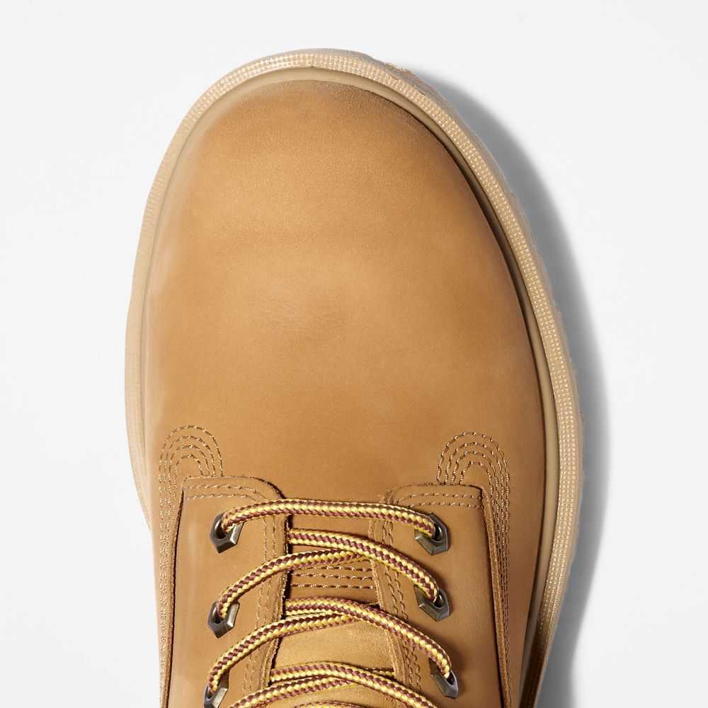 Timberland Direct Attach 6 Marroni | SN-TBL45635