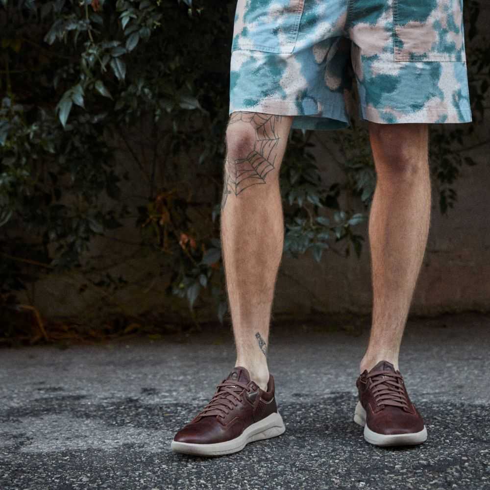 Timberland Earthkeepers Marroni Scuro | SN-TBL45842