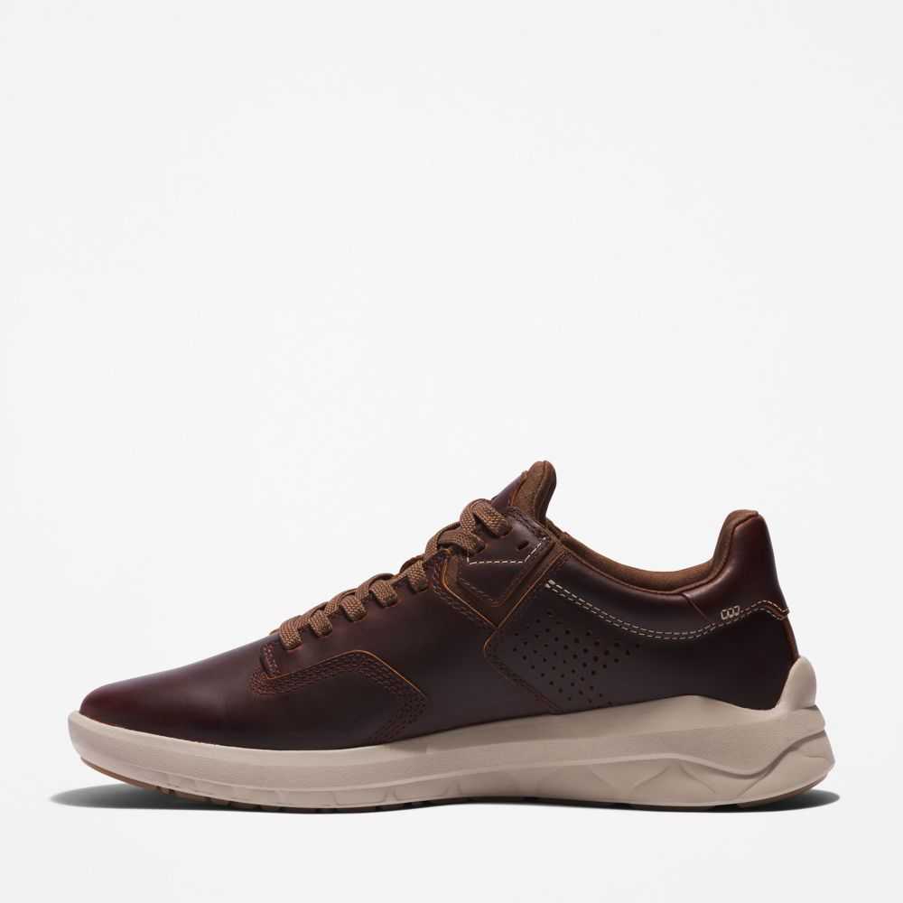 Timberland Earthkeepers Marroni Scuro | SN-TBL45842