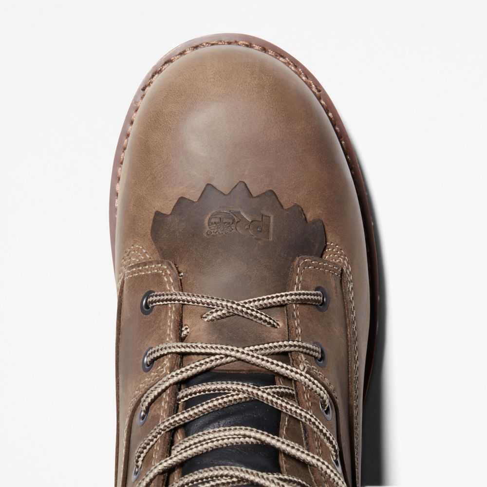 Timberland Evergreen Caffè | SN-TBL45757