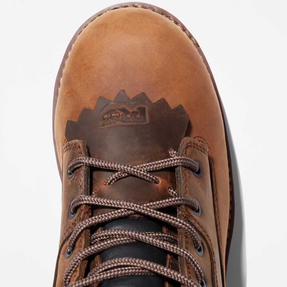 Timberland Evergreen Marroni | SN-TBL45729