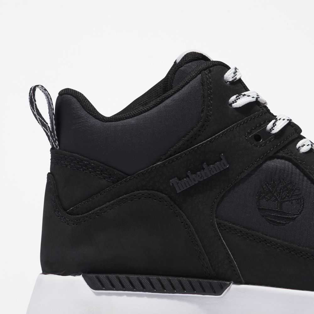 Timberland Field Trekker Nere Bianche | SN-TBL46396
