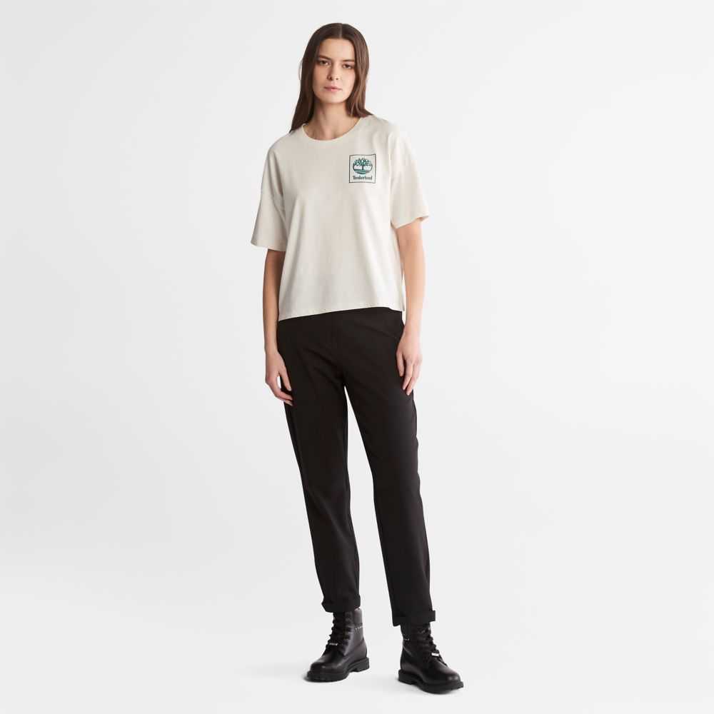 Timberland Graphic Bianche | SN-TBL46472