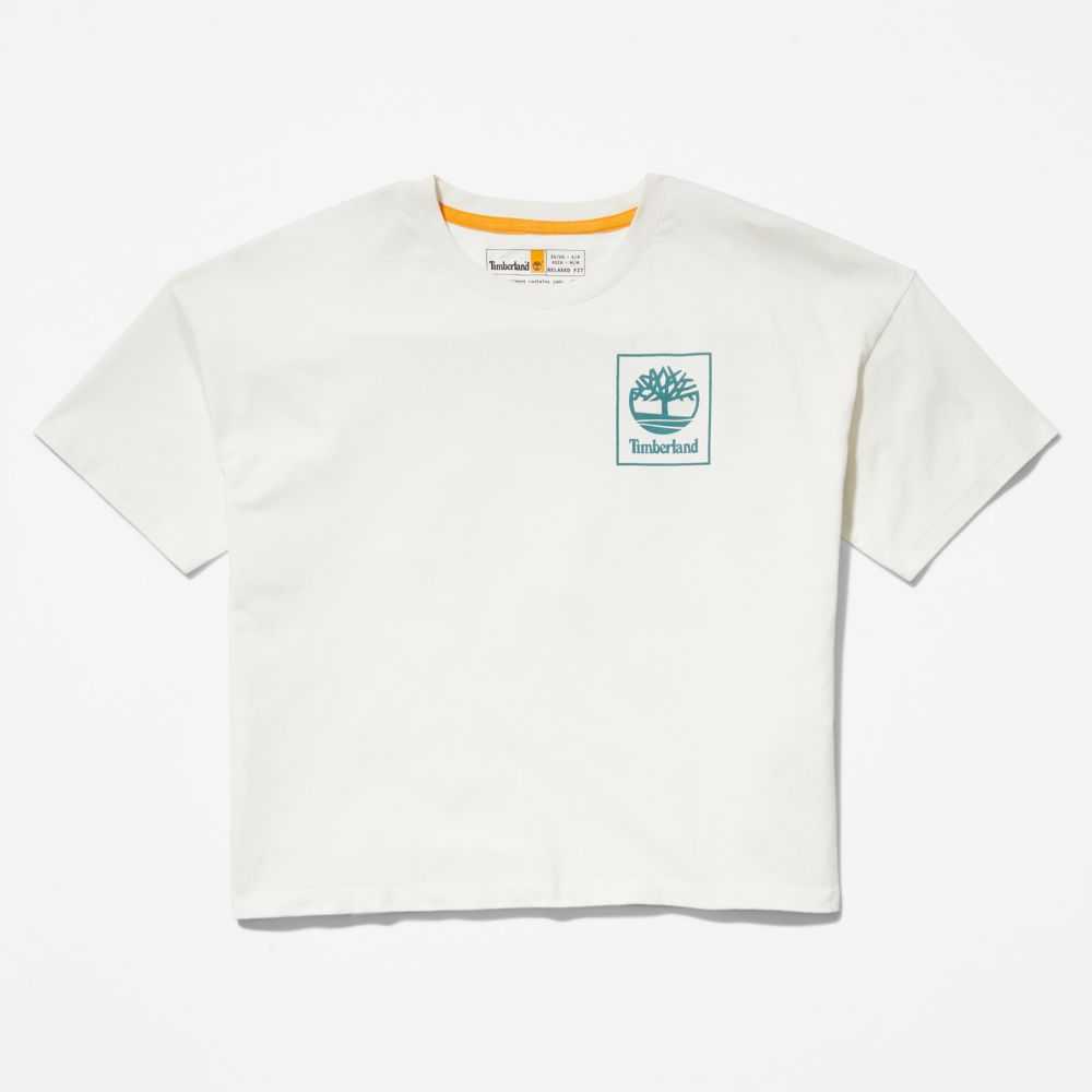 Timberland Graphic Bianche | SN-TBL46472