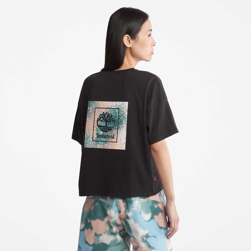 Timberland Graphic Nere | SN-TBL46471