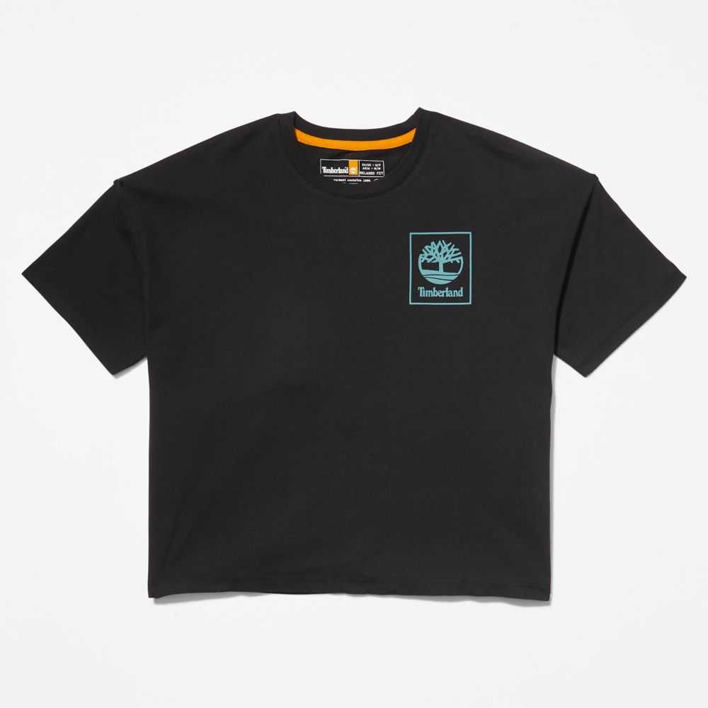 Timberland Graphic Nere | SN-TBL46471