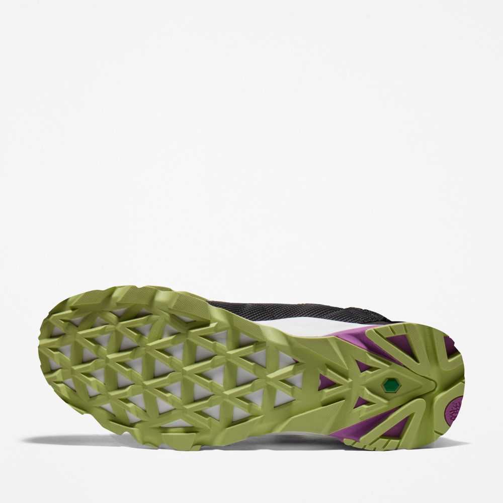 Timberland Greenstride Beige | SN-TBL45888