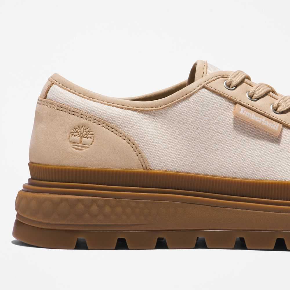 Timberland Greenstride Beige | SN-TBL46374