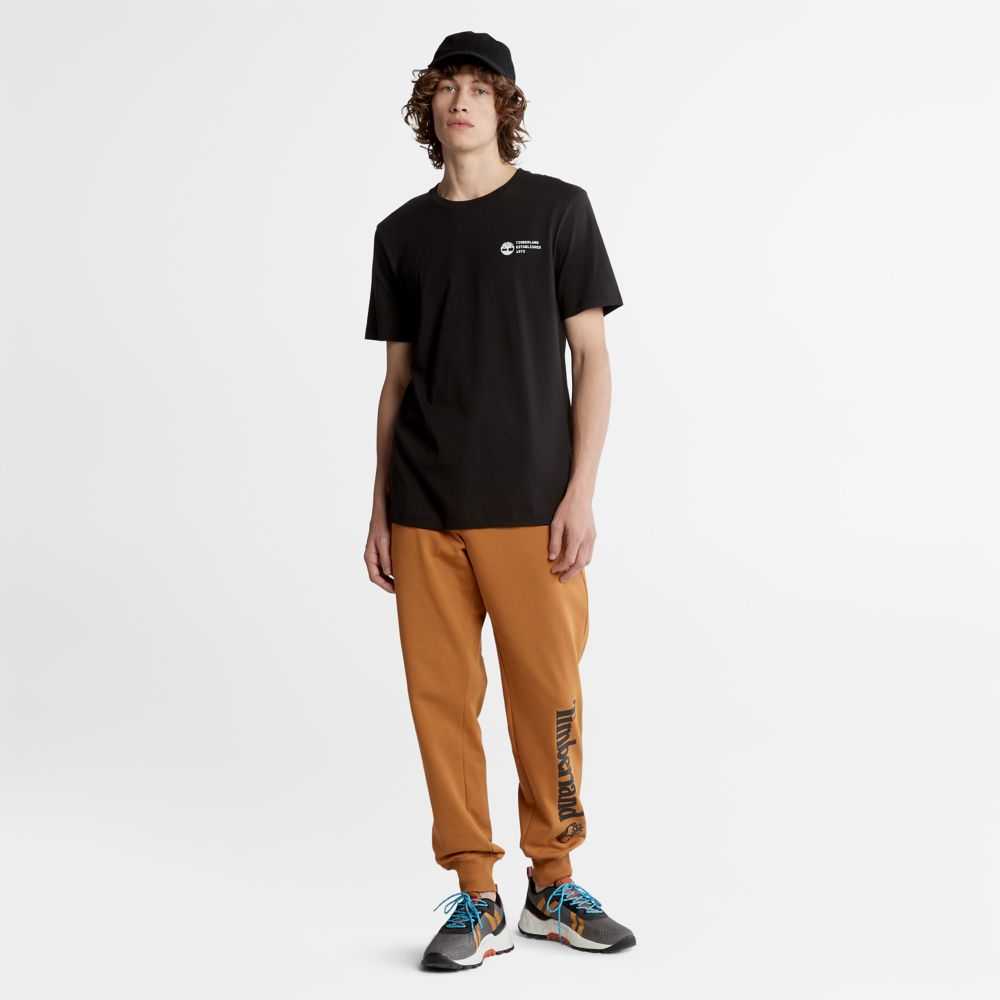Timberland Greenstride Grigie | SN-TBL45892
