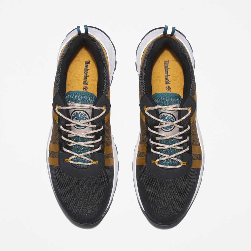 Timberland Greenstride Nere Marroni | SN-TBL45893