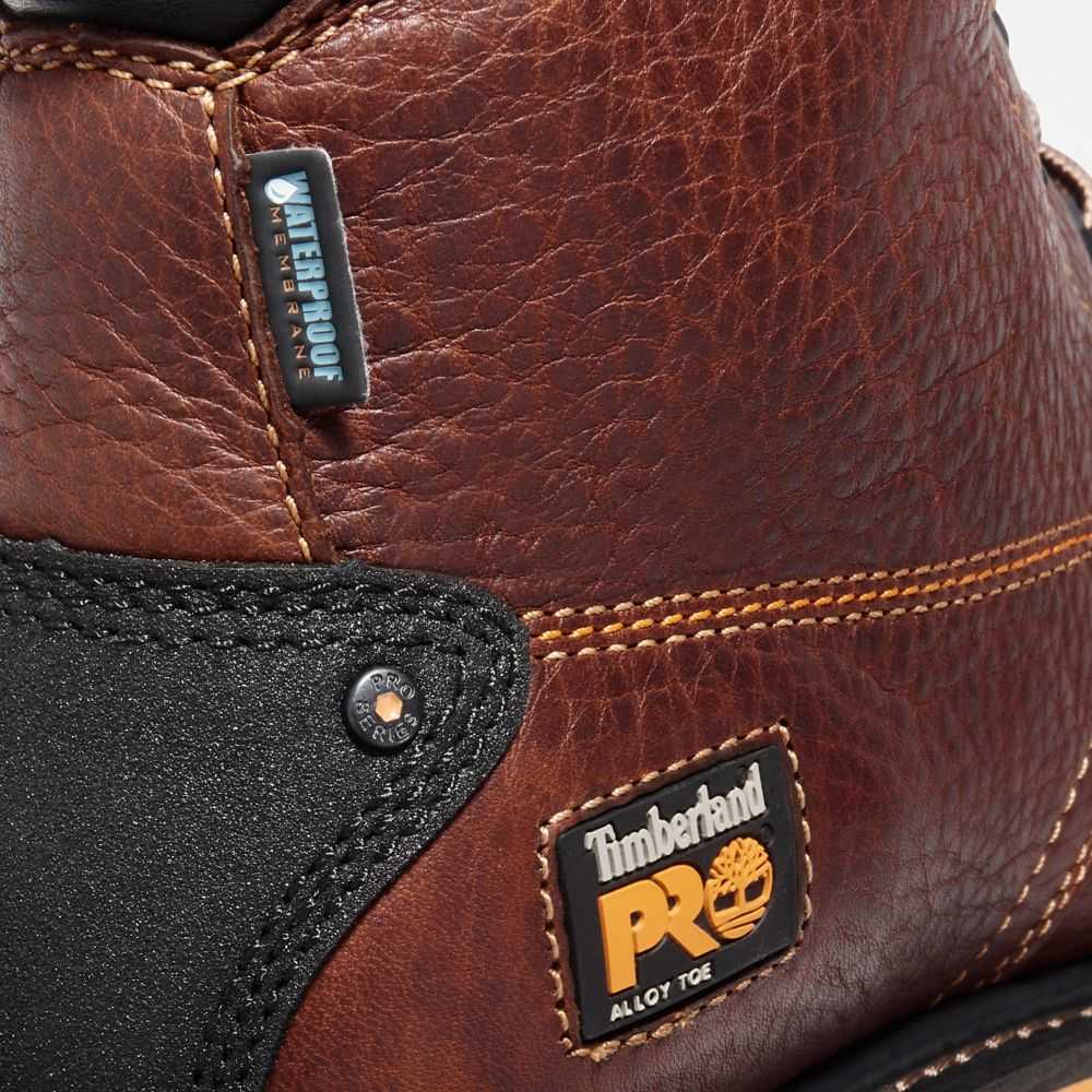 Timberland Gridworks 6 Marroni | SN-TBL45660