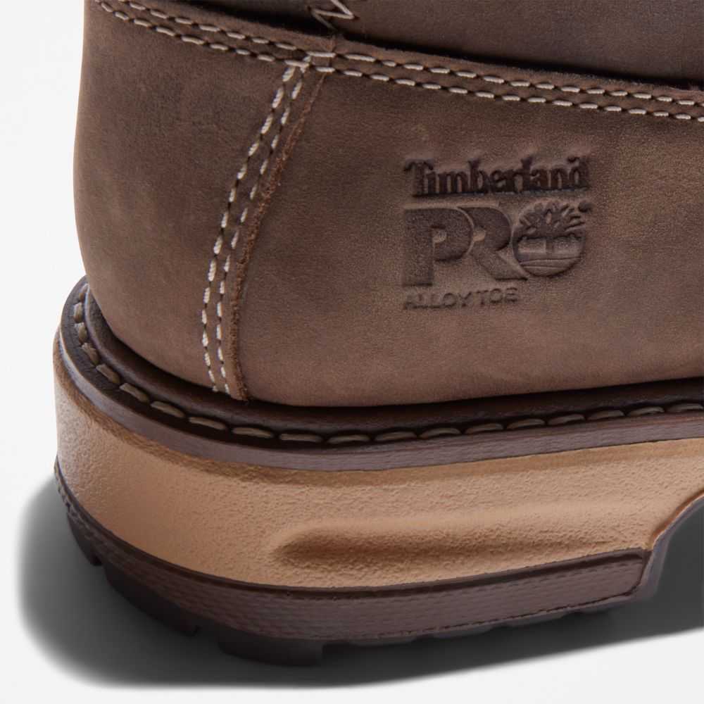 Timberland Hightower 6 Marroni | SN-TBL46328