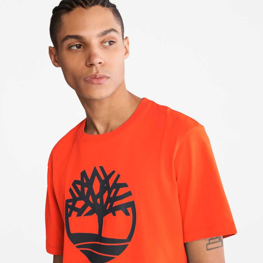 Timberland Kennebec River Arancioni | SN-TBL46124