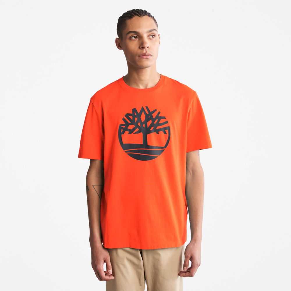 Timberland Kennebec River Arancioni | SN-TBL46124