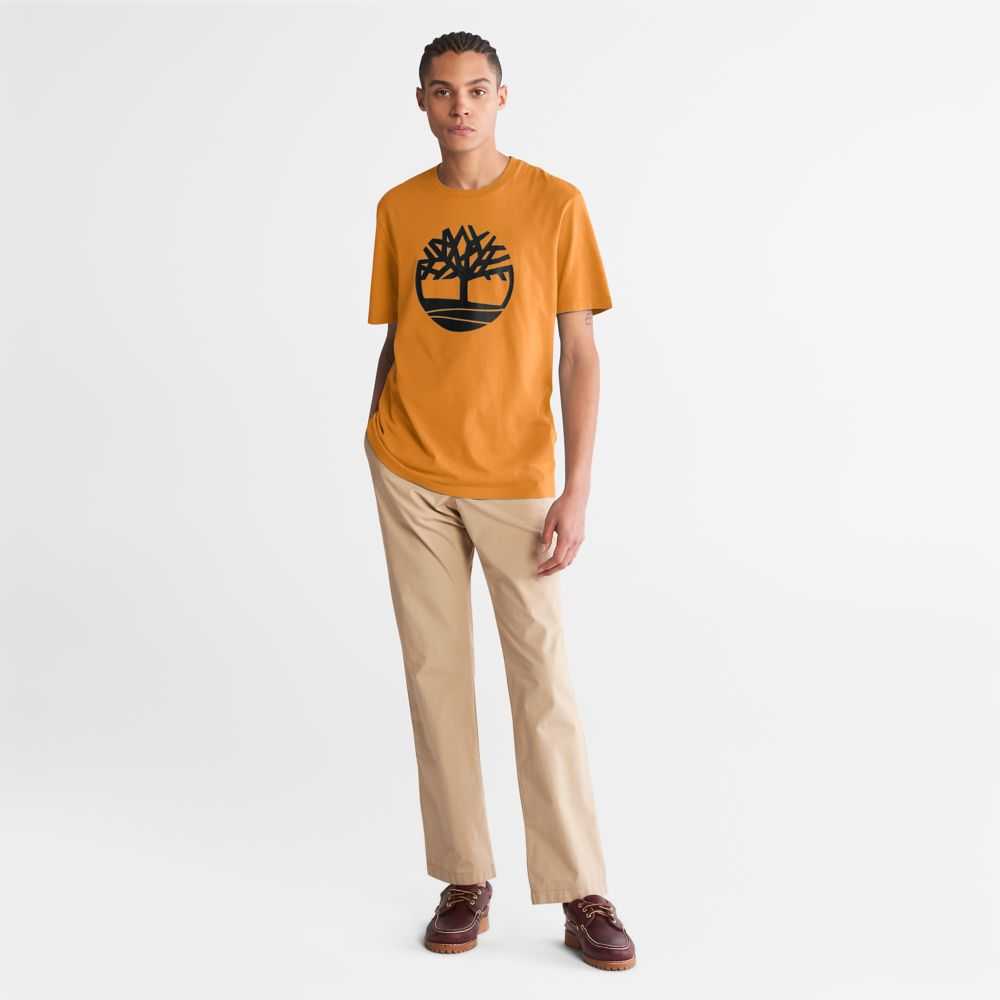 Timberland Kennebec River Marroni | SN-TBL46117