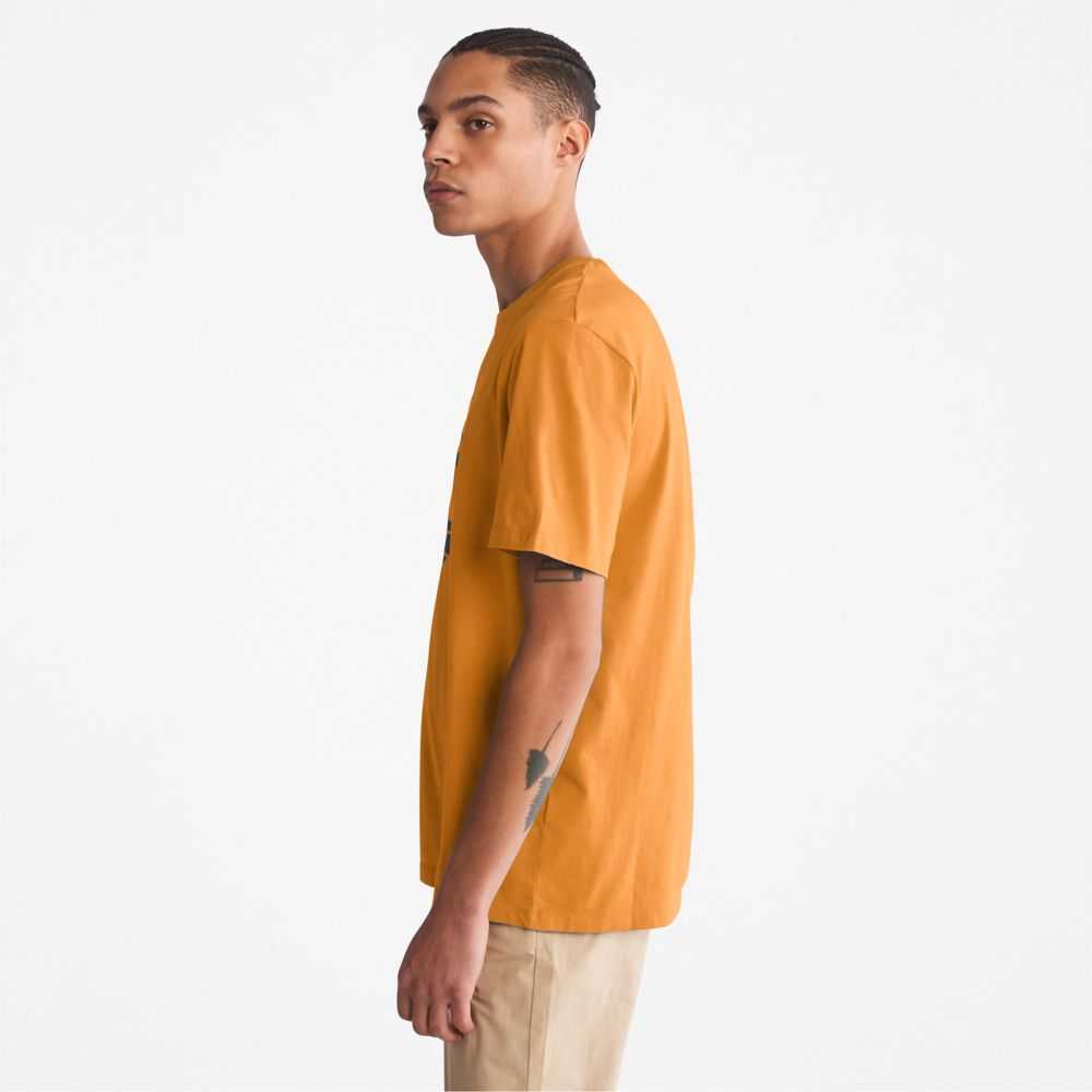 Timberland Kennebec River Marroni | SN-TBL46117