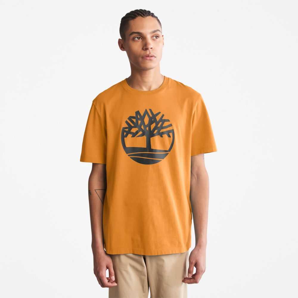 Timberland Kennebec River Marroni | SN-TBL46117