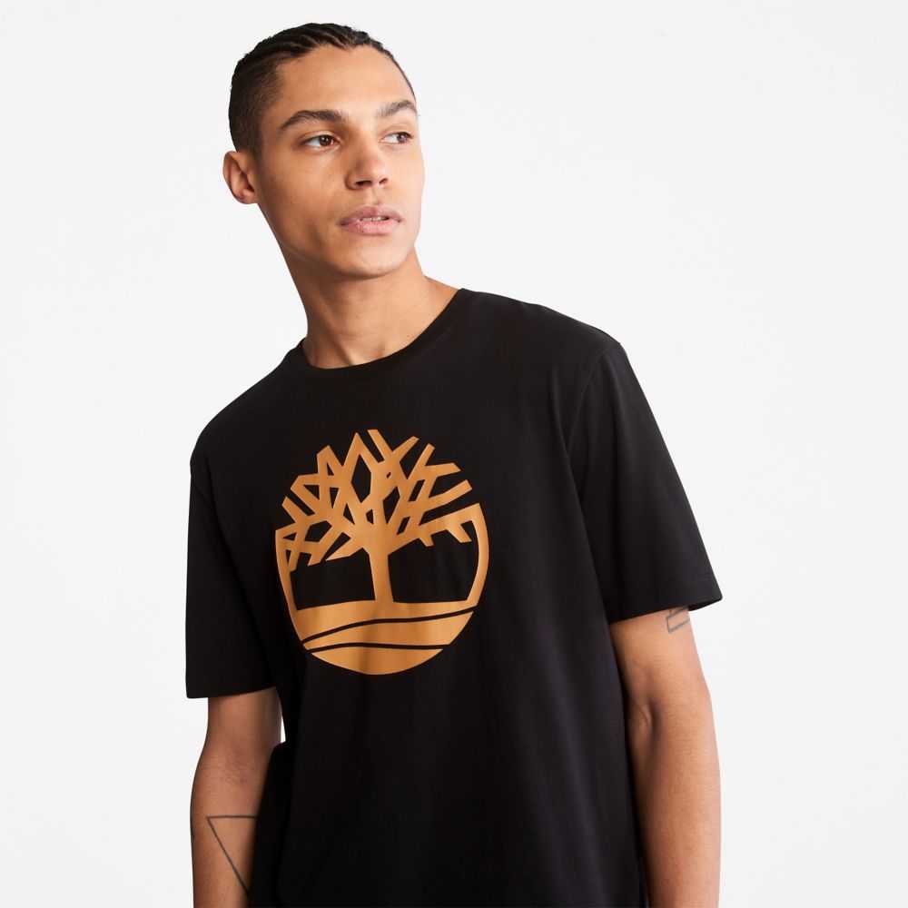 Timberland Kennebec River Nere Marroni | SN-TBL46118