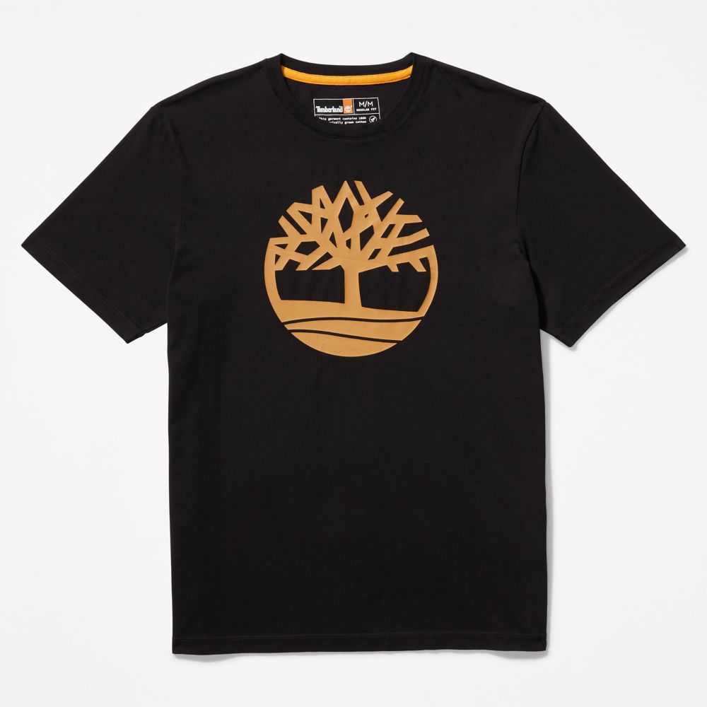 Timberland Kennebec River Nere Marroni | SN-TBL46118