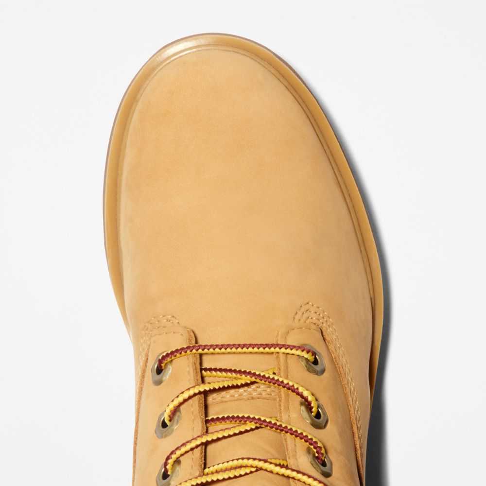 Timberland Kinsley 6 Inch Marroni | SN-TBL46417