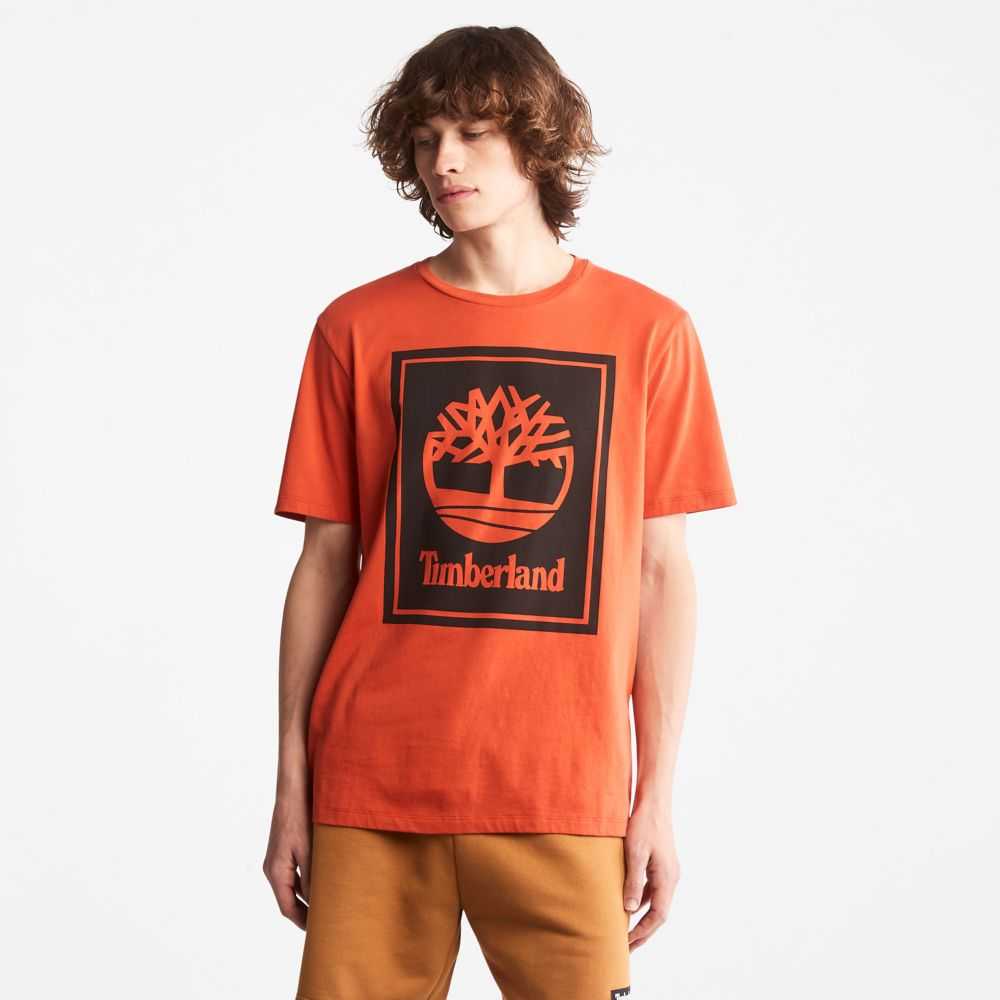 Timberland Logo Arancioni Nere | SN-TBL46524