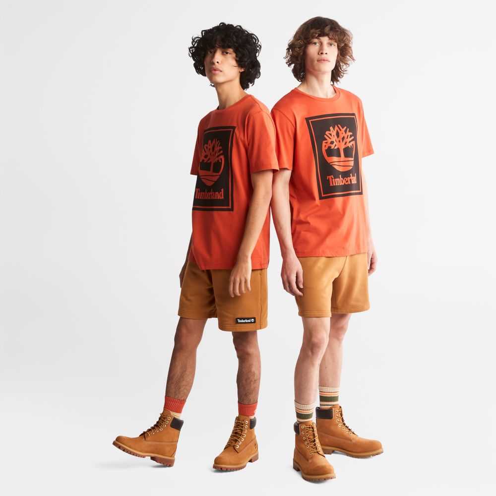 Timberland Logo Arancioni Nere | SN-TBL46524