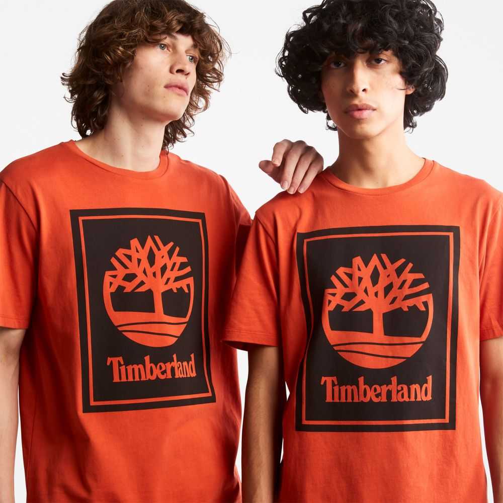 Timberland Logo Arancioni Nere | SN-TBL46524