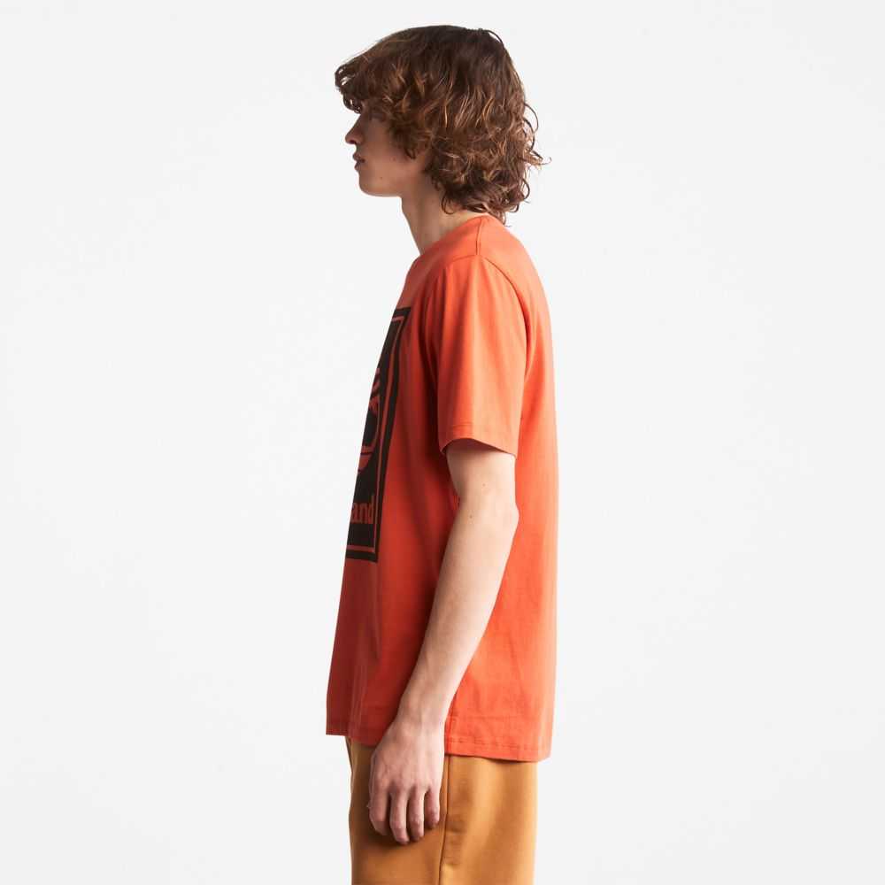 Timberland Logo Arancioni Nere | SN-TBL46524