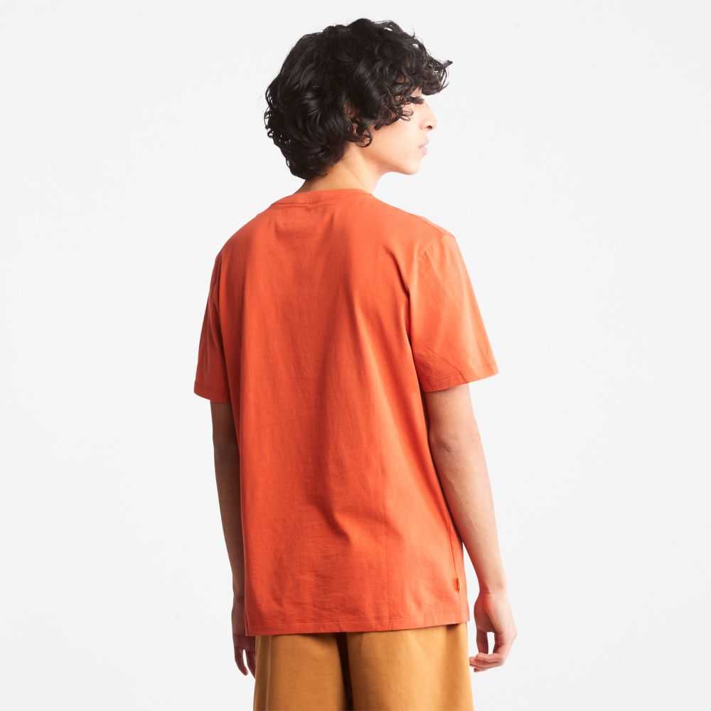 Timberland Logo Arancioni Nere | SN-TBL46524