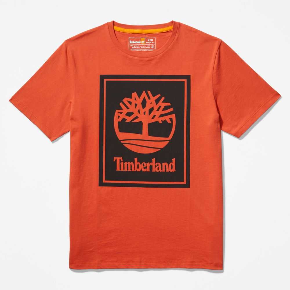 Timberland Logo Arancioni Nere | SN-TBL46524