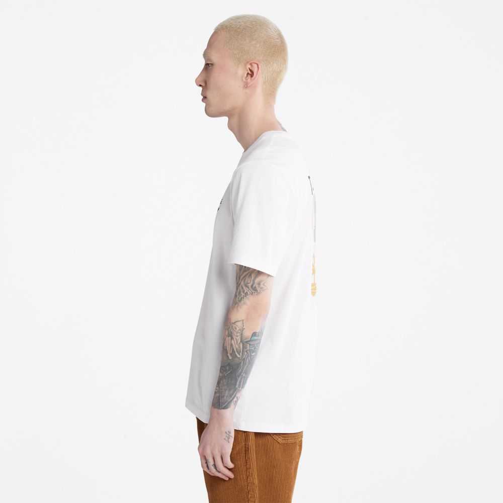 Timberland Logo Bianche | SN-TBL46083