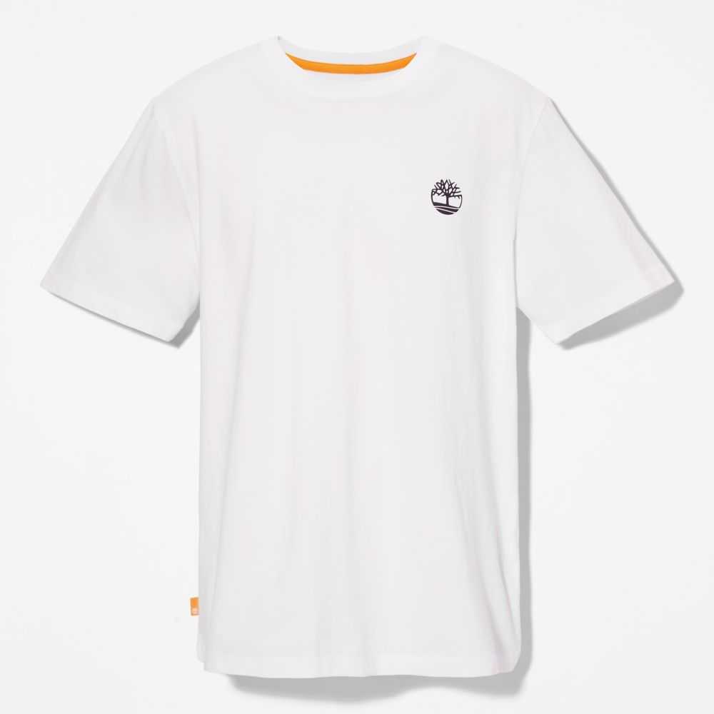Timberland Logo Bianche | SN-TBL46083