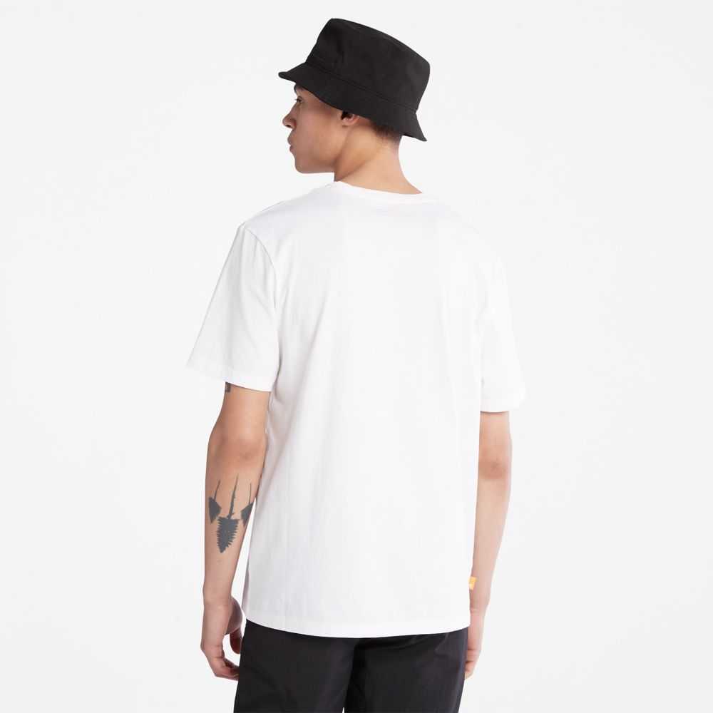 Timberland Logo Bianche | SN-TBL46091