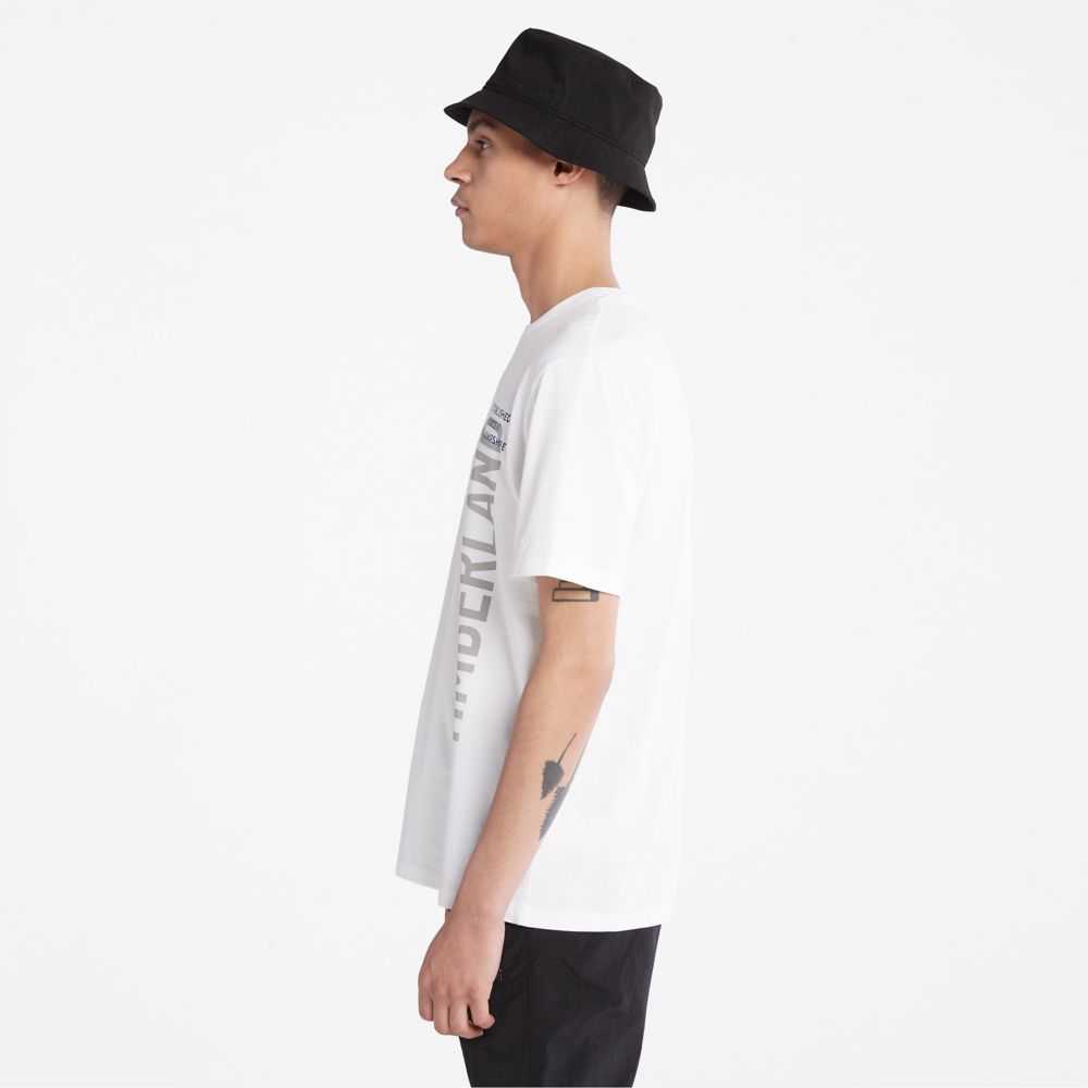 Timberland Logo Bianche | SN-TBL46091