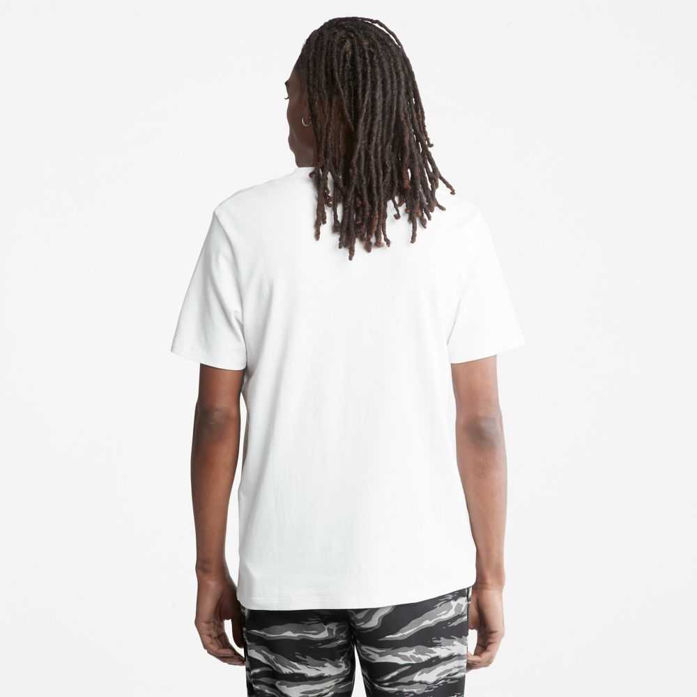 Timberland Logo Bianche | SN-TBL46113