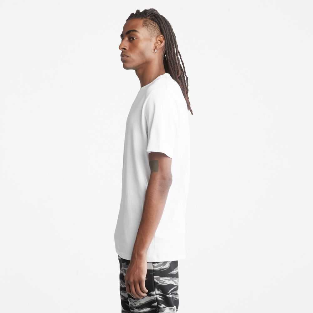 Timberland Logo Bianche | SN-TBL46113