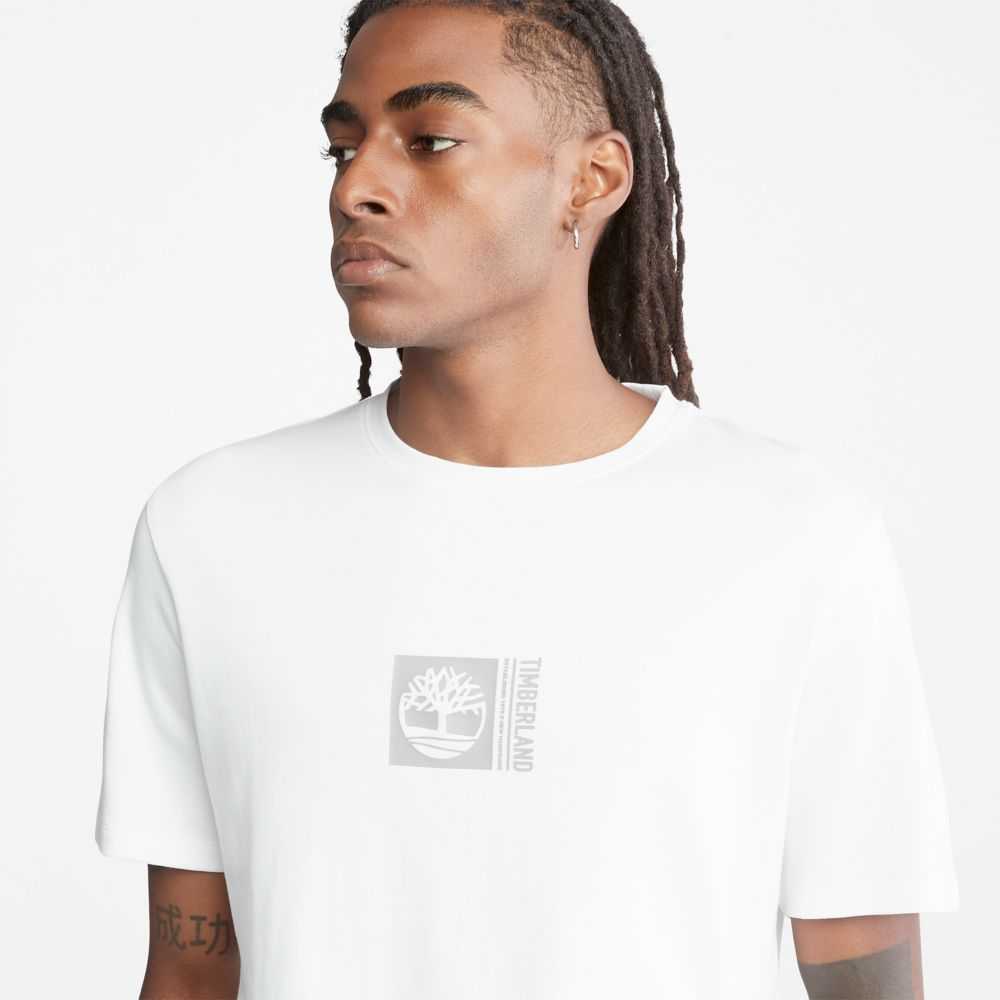 Timberland Logo Bianche | SN-TBL46113