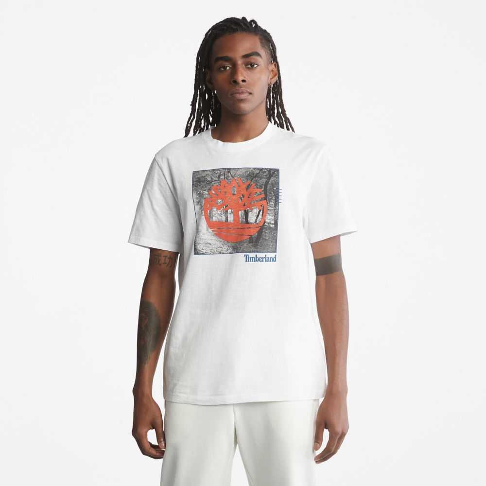 Timberland Logo Bianche | SN-TBL46142