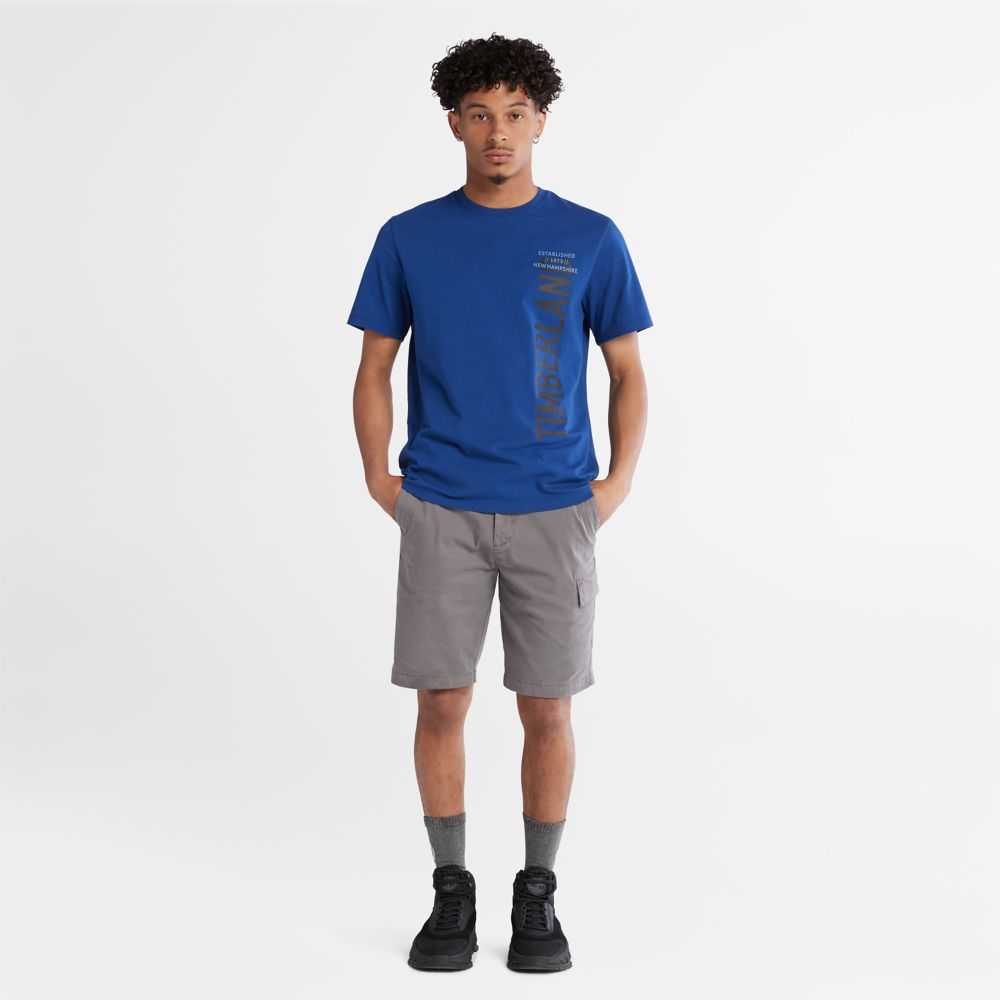 Timberland Logo Blu | SN-TBL46094