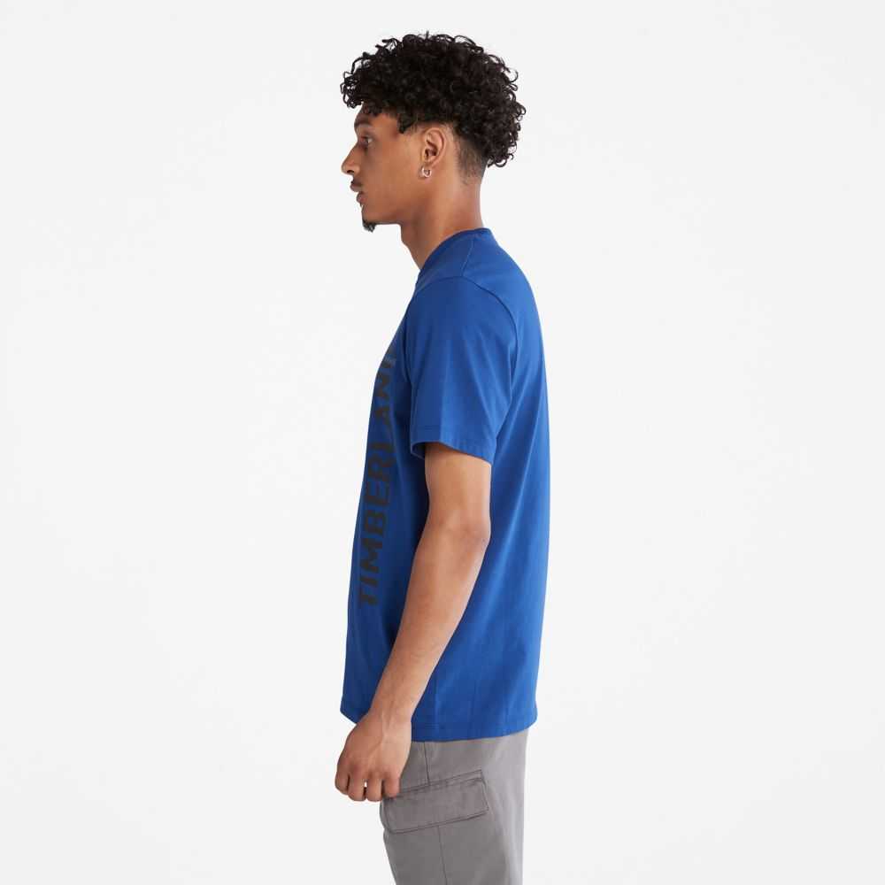 Timberland Logo Blu | SN-TBL46094