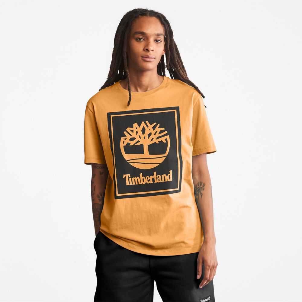 Timberland Logo Marroni Nere | SN-TBL46520