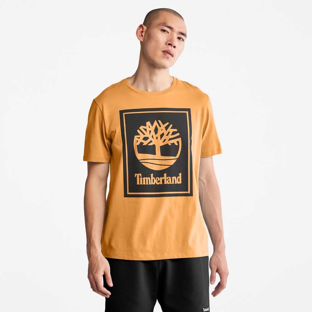 Timberland Logo Marroni Nere | SN-TBL46520