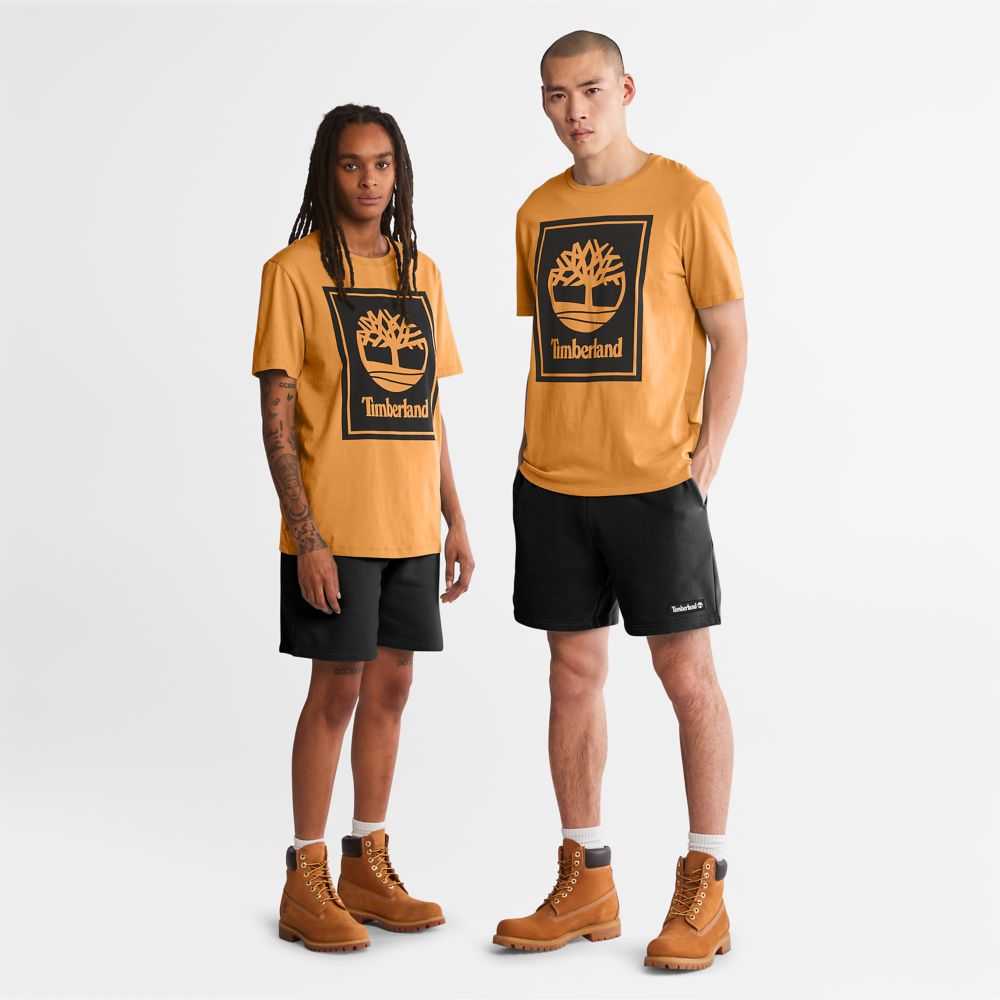 Timberland Logo Marroni Nere | SN-TBL46520
