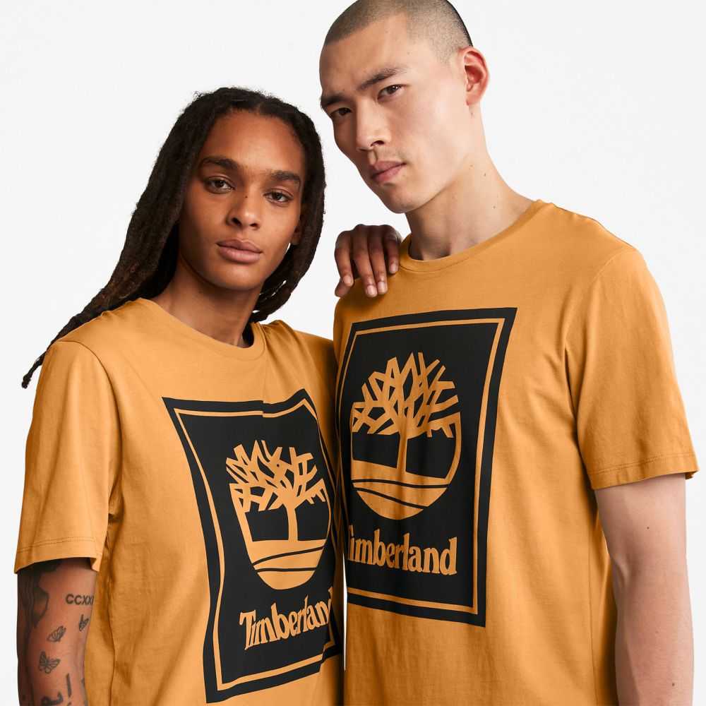 Timberland Logo Marroni Nere | SN-TBL46520