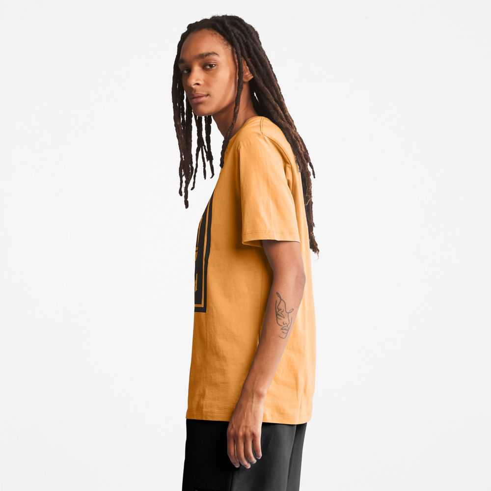 Timberland Logo Marroni Nere | SN-TBL46520