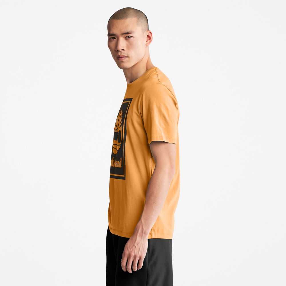 Timberland Logo Marroni Nere | SN-TBL46520
