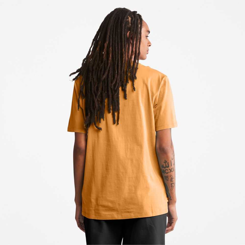 Timberland Logo Marroni Nere | SN-TBL46520