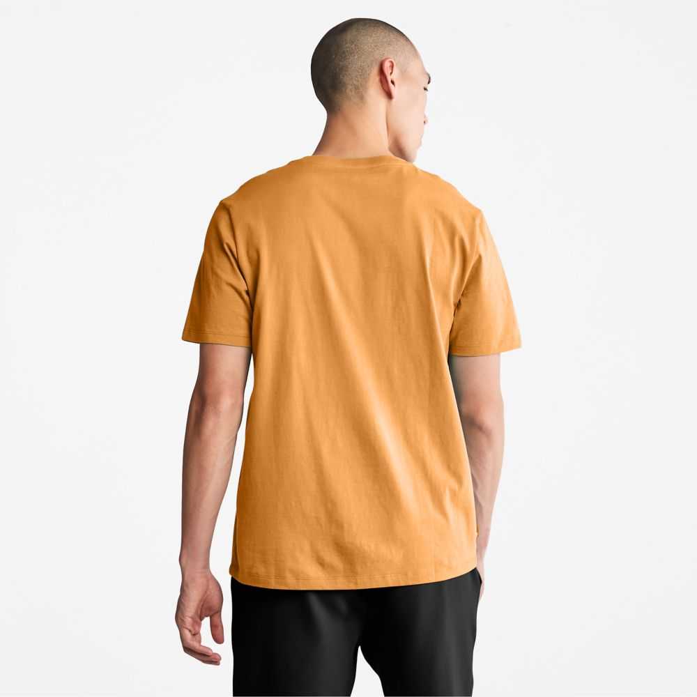 Timberland Logo Marroni Nere | SN-TBL46520