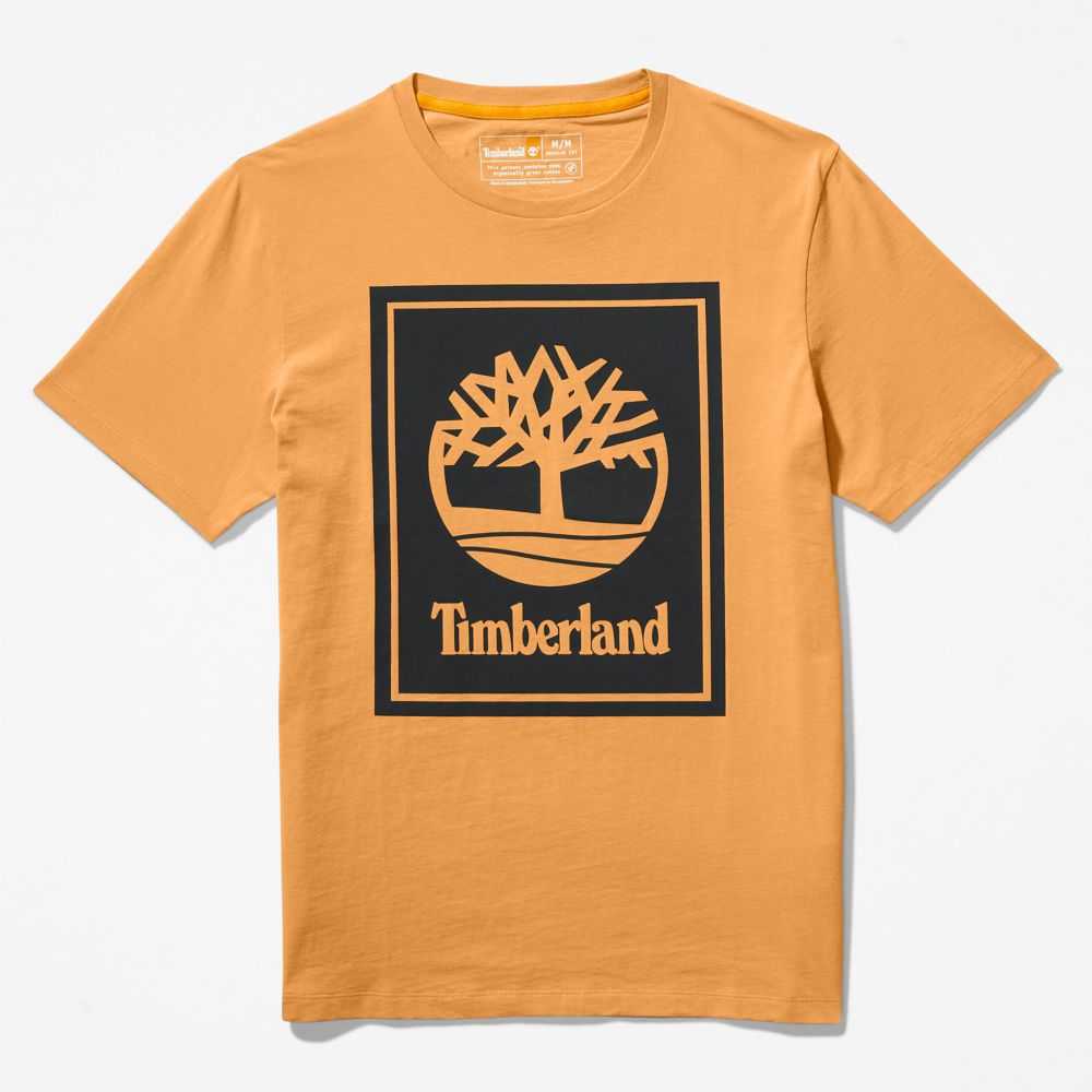 Timberland Logo Marroni Nere | SN-TBL46520