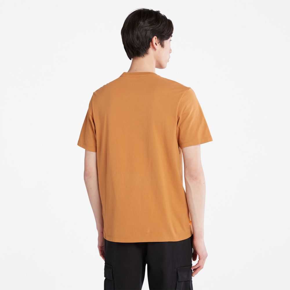 Timberland Logo Marroni | SN-TBL46090